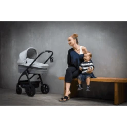 Hauck Navicella Saturn Lunar/Stone -Vendite Passeggino hauck navicella saturn lunar stone a265260 3